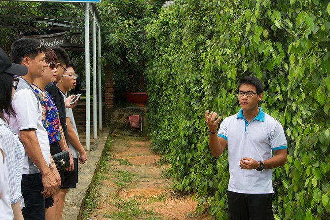 Phu Quoc Discover South And North Together_Private tour - Phu Quoc Prison and Huynh Khoa fish sauce: two very different cultural beats