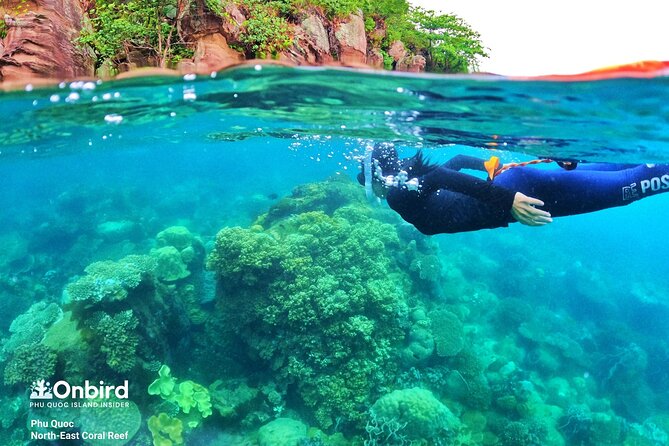 [Phu Quoc] Private Speedboat & Short-Snorkel: South Hidden Reefs - What You Actually Get Included, and What Costs Extra