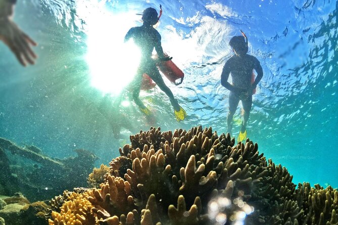 [Phu Quoc] Private Speedboat & Short-Snorkel: South Hidden Reefs - Price Versus Value: Is $159 a Deal?