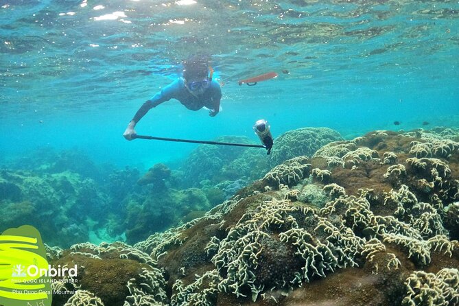 [Phu Quoc] Private Speedboat & Short-Snorkel: South Hidden Reefs - Who This Tour Fits Best (And Who Might Want Something Else)