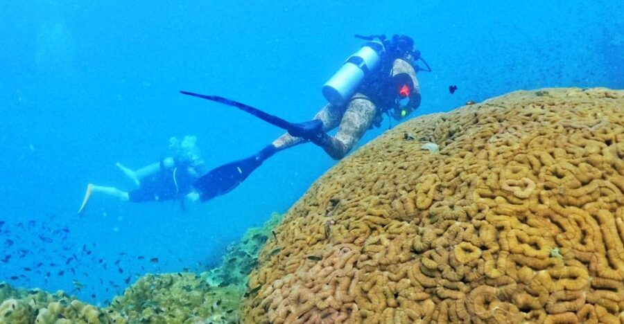Phu Quoc: Scuba Diving Experience for All Levels - Try Scuba in Phu Quoc, without the chaos