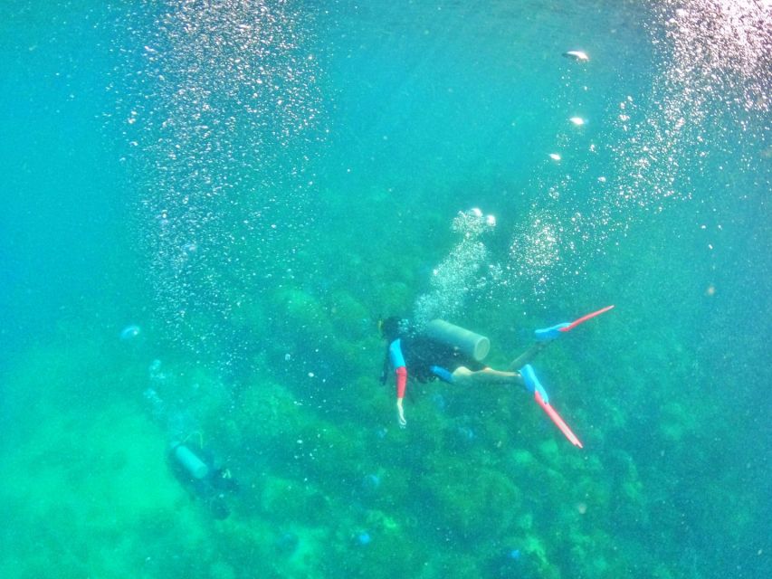 Phu Quoc: Scuba Diving Experience for All Levels - A clear schedule from pickup to finish