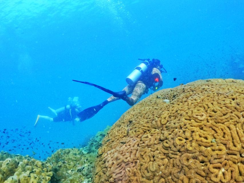 Phu Quoc: Scuba Diving Experience for All Levels - Training that actually helps your first underwater minutes