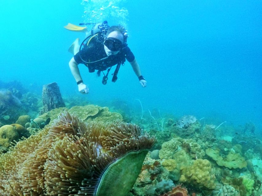 Phu Quoc: Scuba Diving Experience for All Levels - Gear, comfort, and the small items you should bring