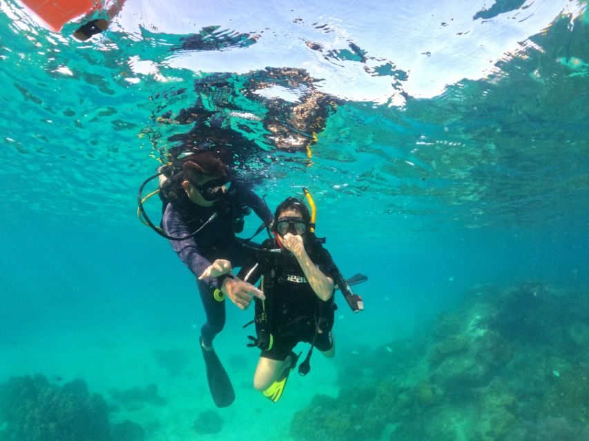 Phu Quoc: Scuba Diving Experience for All Levels - Timing rules if you have flights or hiking plans