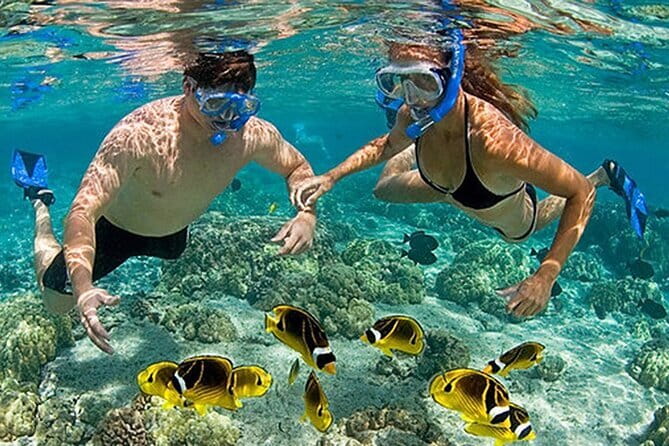 Phu Quoc: Snorkeling and Island Hopping By Speedboat with Lunch - May Rut island area: coral park, sea walking (optional), beach, and flycam