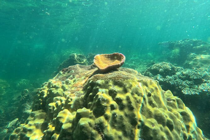 Phu Quoc: Snorkeling and Island Hopping By Speedboat with Lunch - Price and logistics: what you get for about $53