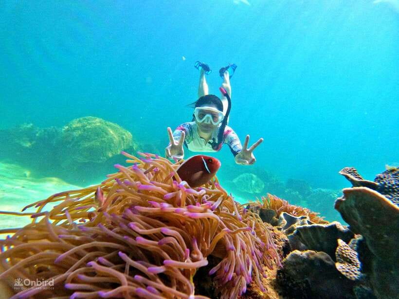 Phu Quoc: Speed Boat Tour 4 Islands - 2 Reefs Snorkeling - Key highlights you will feel the moment you land