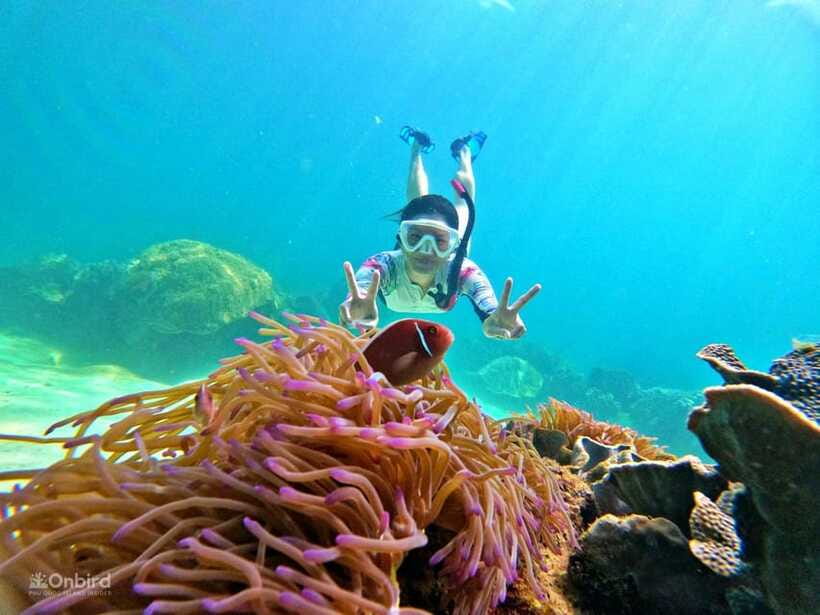 Phu Quoc: Speed Boat Tour 4 Islands - 2 Reefs Snorkeling - Stop 1: shallow-water practice so you can actually use the reef time