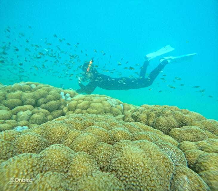Phu Quoc: Speed Boat Tour 4 Islands - 2 Reefs Snorkeling - The speedboat route between islands, and how sea conditions steer the day