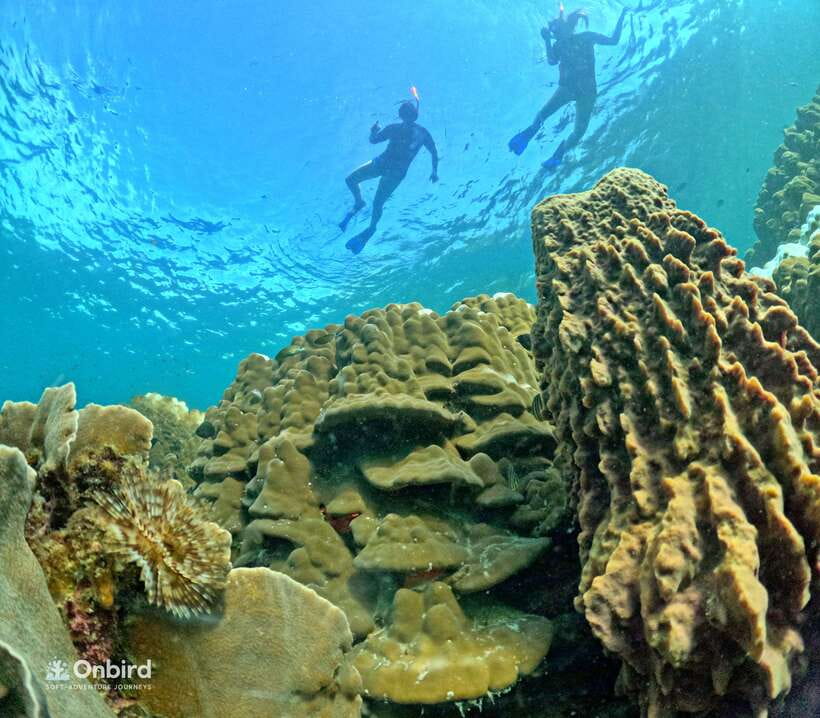 Phu Quoc: Speed Boat Tour 4 Islands - 2 Reefs Snorkeling - Price and value: what you are really paying for