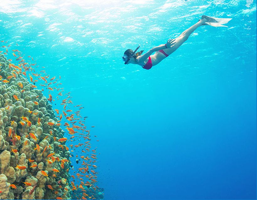 Phu Quoc: Speedboat Tour of 4 Islands with Snorkeling & BBQ - Stop 1: Kim Quy Island (Golden Turtle Island) as your first snorkel