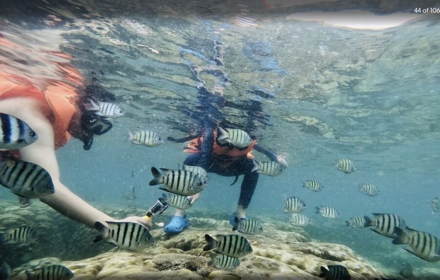 Phu Quoc: Speedboat Tour of 4 Islands with Snorkeling & BBQ - Fingernail Island: fruit, drinks, and a calmer end to the water time