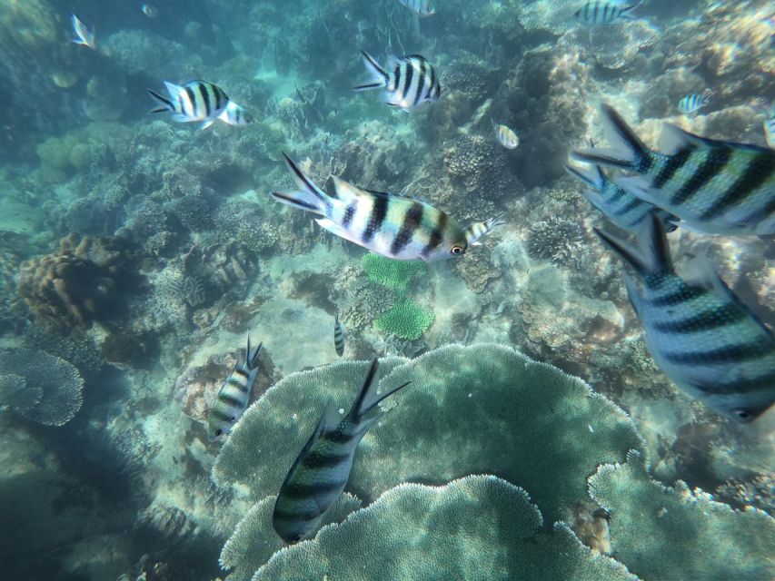 Phu Quoc: Speedboat Tour of 4 Islands with Snorkeling & BBQ - BBQ lunch back on the mainland, and why it matters