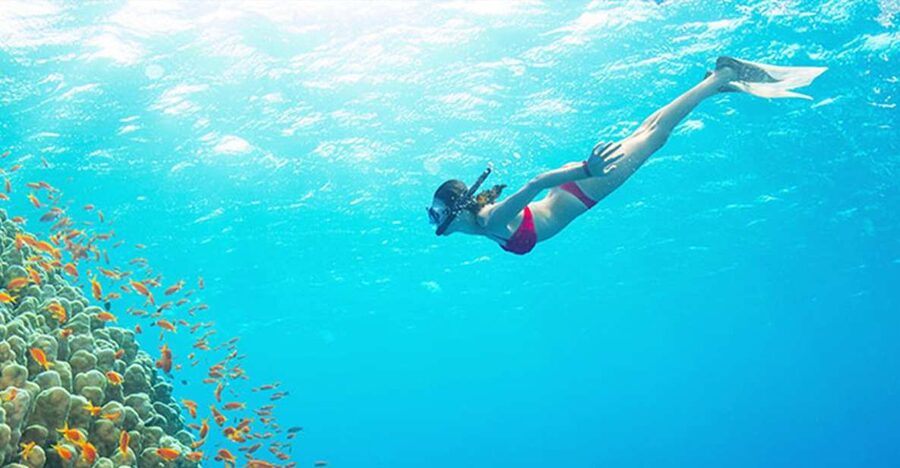 Phu Quoc: Speedboat Tour of 4 Islands with Snorkeling & BBQ - Price and value for a $56 half-day snorkeling tour