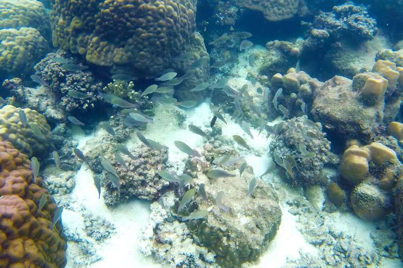 PHU QUOC TRIP 2: 2 ISLANDS BY BOAT - Key highlights at a glance