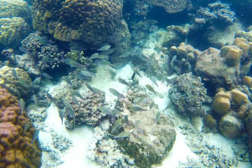 PHU QUOC TRIP 2: 2 ISLANDS BY BOAT - Lunch on board: convenient and usually satisfying