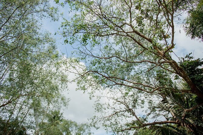 Premium Can Tho Small Canal Tour in Mekong Delta - The Guide Story: What You Learn While the Boat Moves
