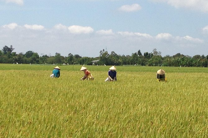 Private Authentic Mekong River Full Day Trip - Non Touristic Mekong delta - A Non-Touristic Mekong Delta Day You Can Actually Feel
