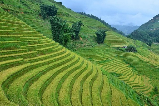 Private Car and Tour Guide Exploring Northern Vietnam - Ba Be Lake and the Ha Giang-style mountain loop