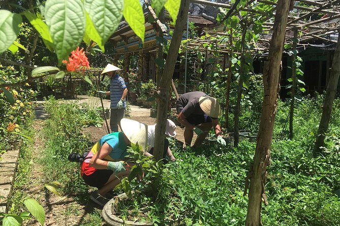 Private Cycling Tour in Rural Hue with Farming Experience - A day designed for rural Hue, not a race through “sights”