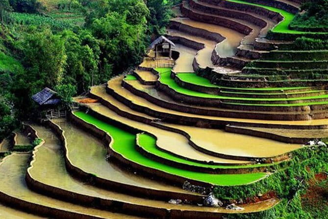Private Full-Day Tour to Halong Bay from Hanoi - Price and logistics: why $220 can be fair here