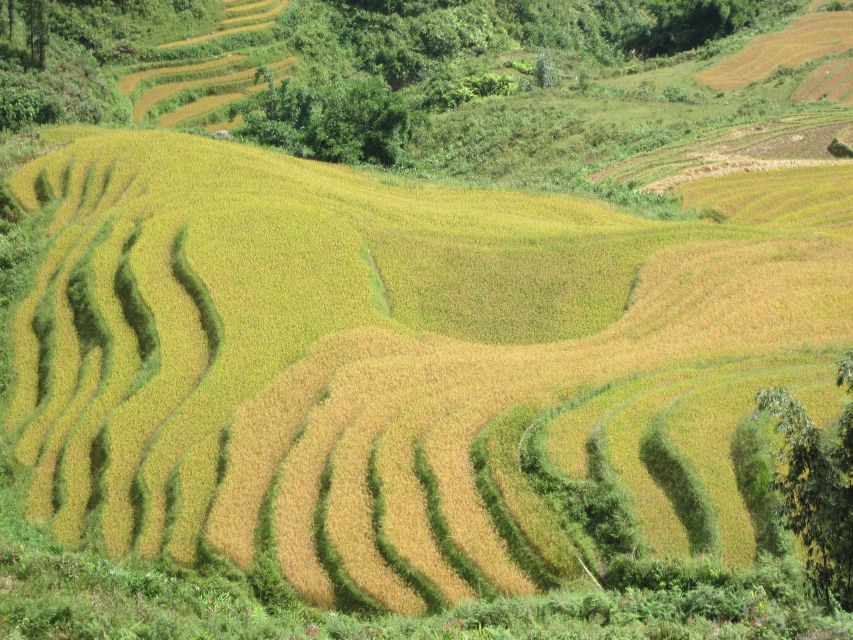Private Hoang Lien National Park & Tribal Village Trek - Price and value: what $75 covers, and what to double-check