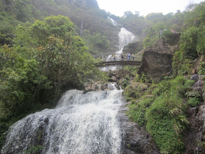 Private Hoang Lien National Park & Tribal Village Trek - The 10km bamboo-forest hike in Hoang Lien National Park