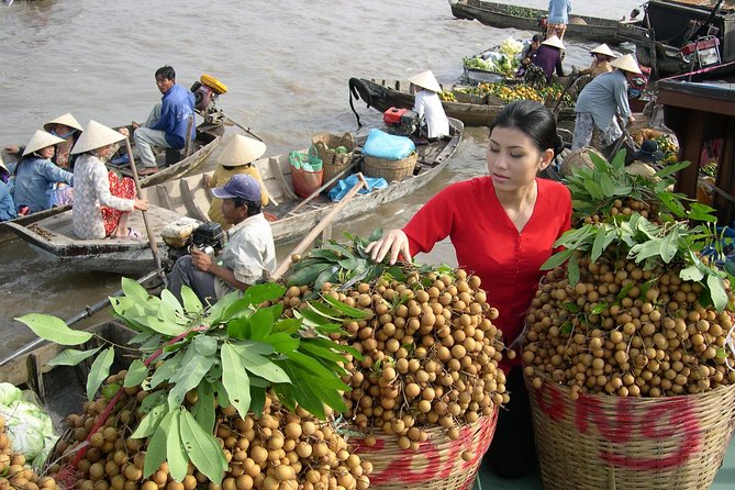 PRIVATE LUXURY Mekong Delta full day from HCM city - Vàm Cỏ Đông river views and a scenic road start you can enjoy