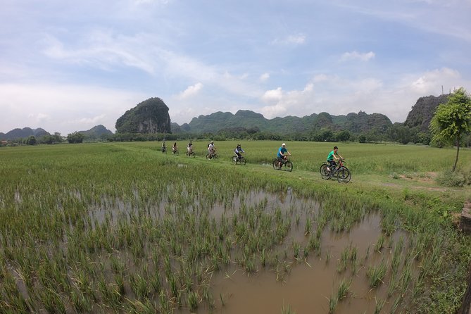 Private luxury - Mua Cave - Trang An - Bich Dong 1 Day From Hanoi - How the guide and small-group format changes the day
