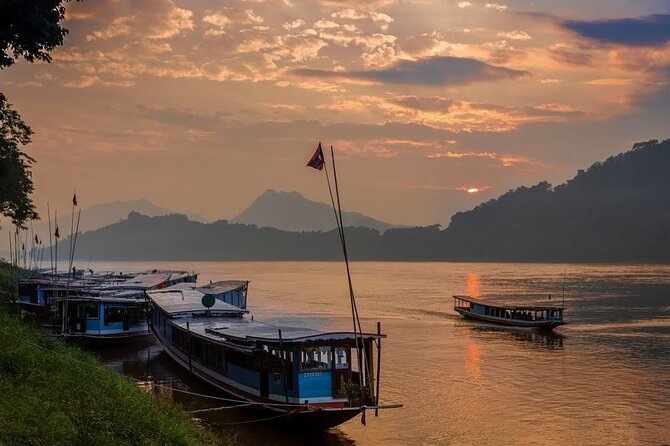 PRIVATE Mekong Delta 1 Day with Kayaking, Biking & Cooking - Bee farm and honey tea: sweet, local, and not just a photo stop