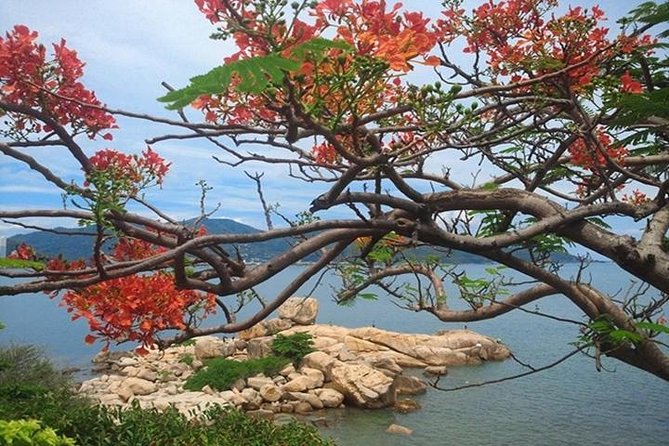 Private tour: Nha Trang Half day city tour &Lunch with PHỞ - Private half-day timing that actually leaves you free