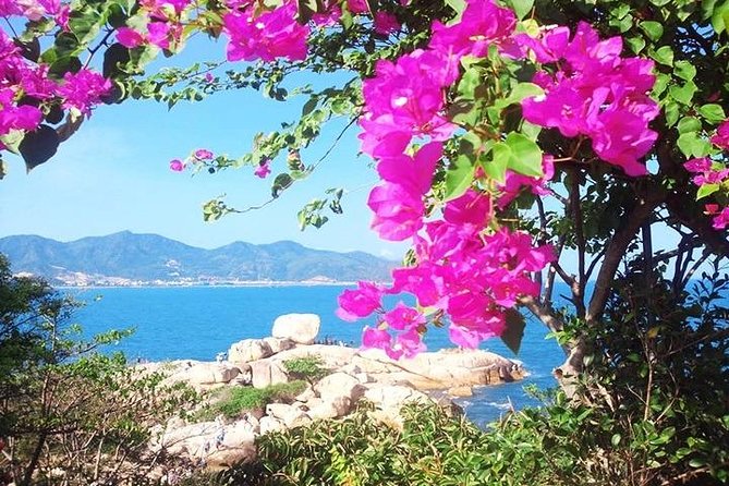 Private tour: Nha Trang Half day city tour &Lunch with PHỞ - Bai Tắm Hon Chồng and Lasan Hill coffee: the scenery break you’ll remember