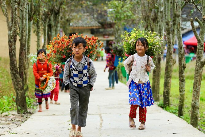 Private Transfer One Way From HANOI > SAPA - Your ride setup, sedan to minivan, and who it suits best