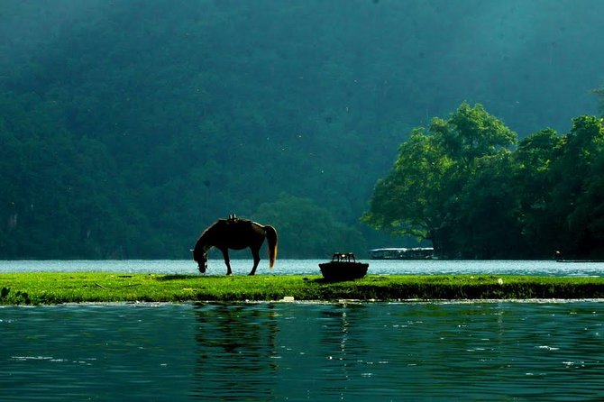 Private transfers HALONG <=> SAPA One Way (Free Hotel Pickup) - Halong Bay to Sapa by private car: the real point of a one-way ride