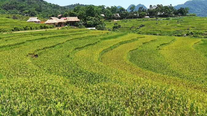 Private transfers Hanoi <=> Puluong 1 Way (Free Hotel Pickup) - Price and value: $89 for up to 3 people
