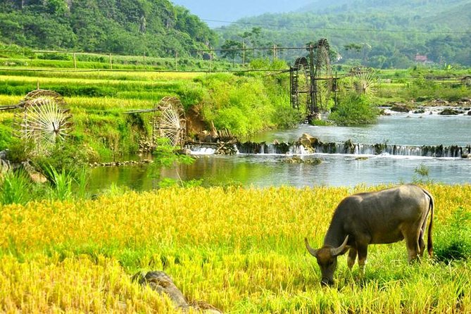 Private transfers Hanoi <=> Puluong 1 Way (Free Hotel Pickup) - Timing and distance: what 180 km and 3.5 hours really means