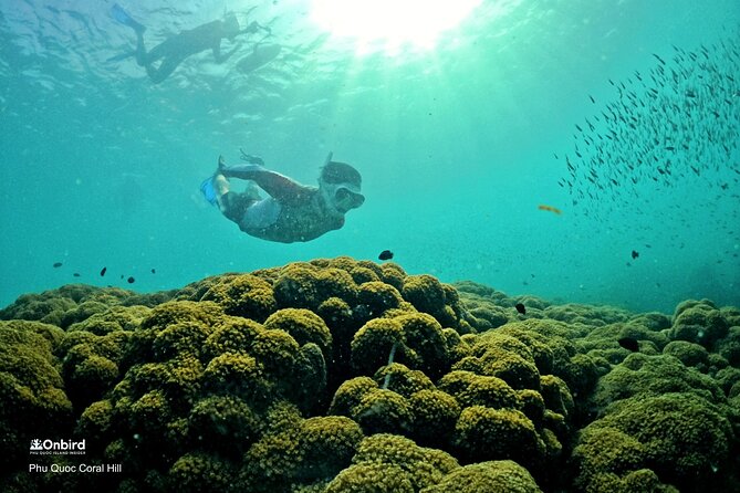PRO-SNORKELING to Explore Hidden Coral Reefs (MAX 10 PAX) - An Thoi orientation: calm water, safety practice, then off