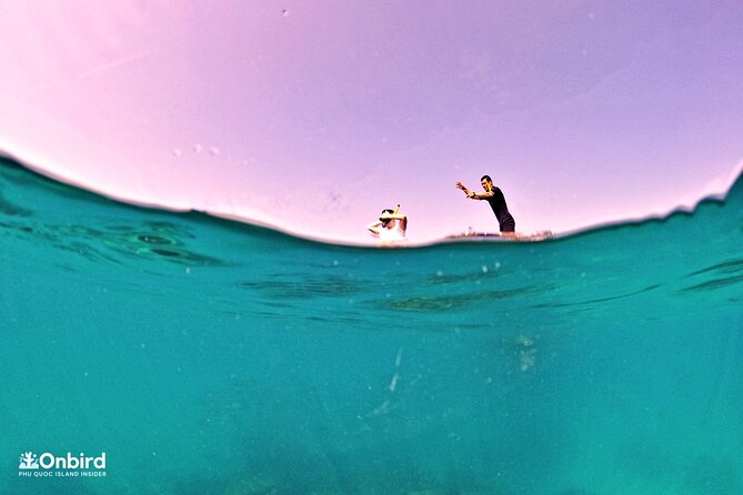 PRO-SNORKELING to Explore Hidden Coral Reefs (MAX 10 PAX) - Gear and coaching: masks, fins, and the comfort factor
