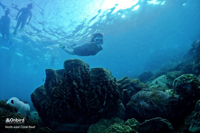 PRO-SNORKELING to Explore Hidden Coral Reefs (MAX 10 PAX) - The An Thoi route: scenic, calm, and built for views
