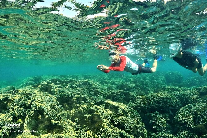 PRO-SNORKELING to Explore Hidden Coral Reefs (MAX 12 PAX) - Reef-first snorkeling around An Thoi, not a rushed swim