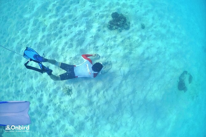 PRO-SNORKELING to Explore Hidden Coral Reefs (MAX 12 PAX) - Two hidden coral spots during your main snorkeling window