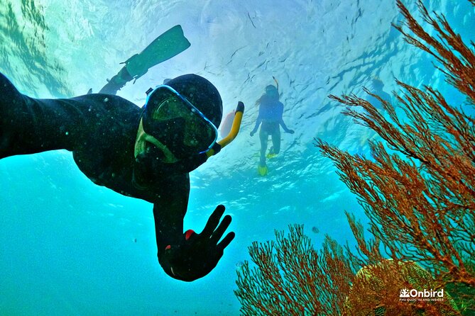 PRO-SNORKELING to Explore The Coral Jungle REEF (MAX 10 PAX) - Key things that make this snorkeling tour stand out
