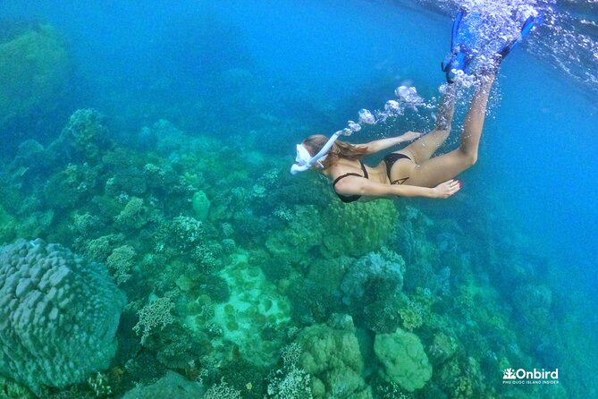 PRO-SNORKELING to Explore The Coral Jungle REEF (MAX 10 PAX) - North Phu Quoc snorkeling, minus the tour-bus feeling