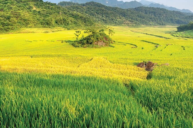 Pu Luong 3-Day Adventure: Trekking, Cycling & Local Cooking Class - Key highlights worth planning around
