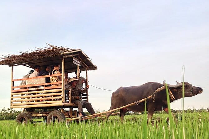 Pu Luong 3-Day Adventure: Trekking, Cycling & Local Cooking Class - The Pu Luong recipe: nature days plus village work