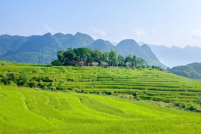 Pu Luong 3-Day Adventure: Trekking, Cycling & Local Cooking Class - Who should book this Pu Luong adventure