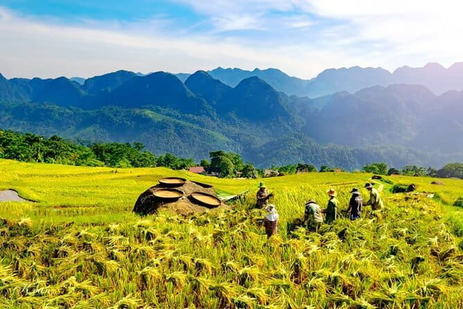 Pu Luong 3-Day Adventure: Trekking, Cycling & Local Cooking Class - Getting there from Hanoi (and why the timing matters)