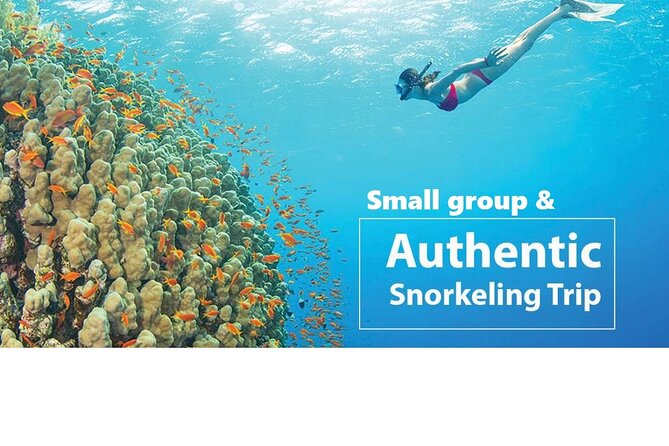 REAL snorkel &island hopping by SPEEDBOAT-EXPLORE CUISINES(MAX12) - Small-Group Reality: What “Up to 12” Means on the Water