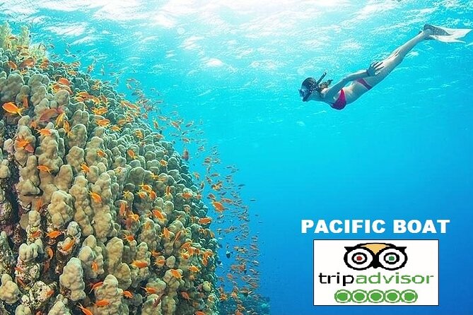REAL snorkel &island hopping by SPEEDBOAT-EXPLORE CUISINES(MAX12) - Weather Dependence and Schedule Changes You Should Expect